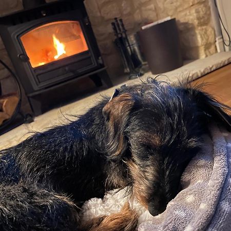 Cosy Cotswold Lodge By Your Home Here - Summer Sale For 3 Plus Nights - Ideal For Families With Log-Burner, Spa, Private Parking And Heated Swimming Pools Ashton Keynes المظهر الخارجي الصورة