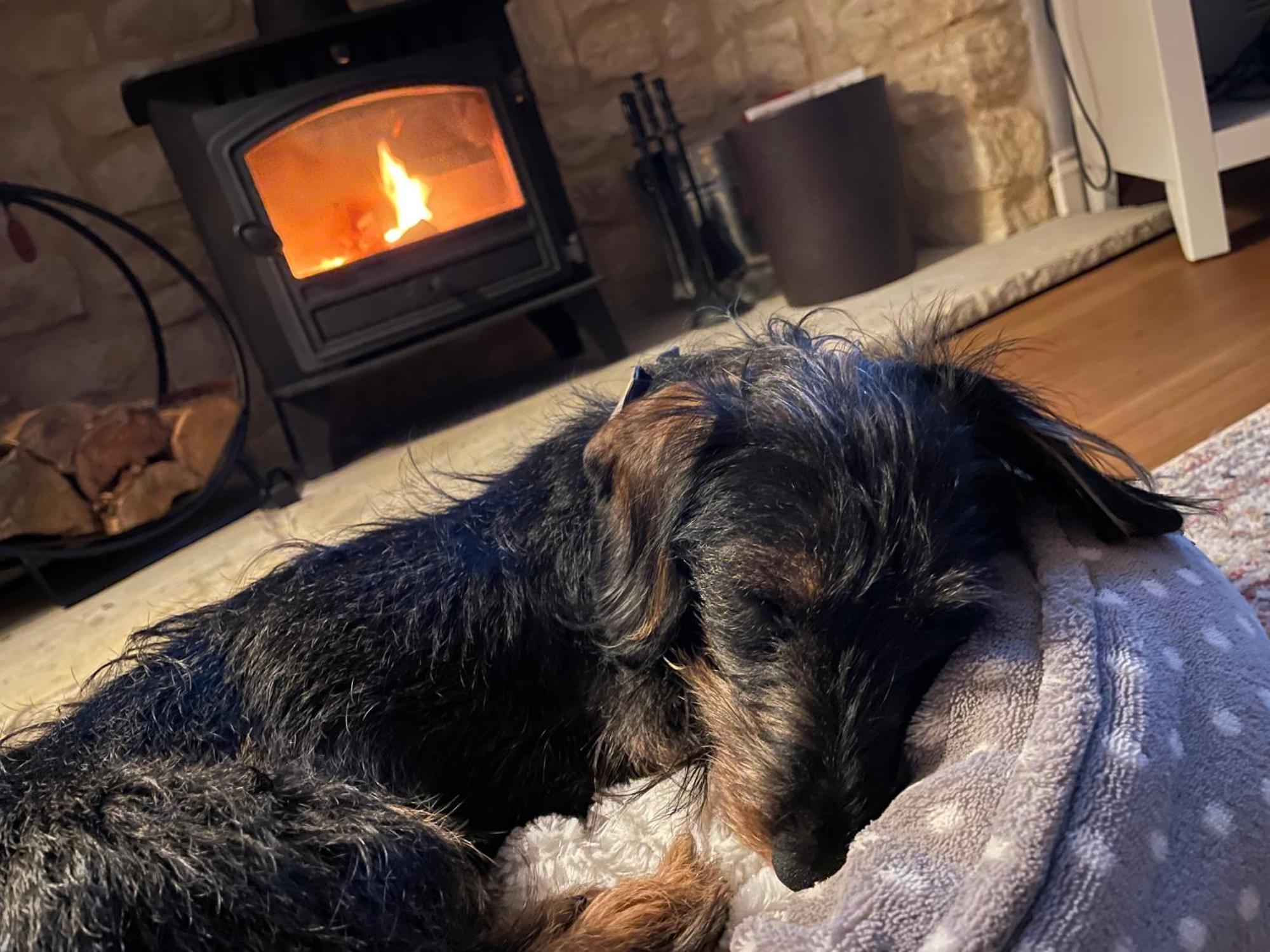 Cosy Cotswold Lodge By Your Home Here - Summer Sale For 3 Plus Nights - Ideal For Families With Log-Burner, Spa, Private Parking And Heated Swimming Pools Ashton Keynes المظهر الخارجي الصورة